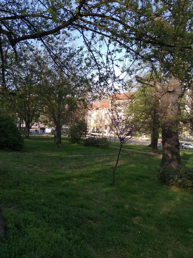 Hostel Ginger House Filibe Dış mekan fotoğraf